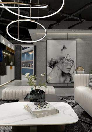 �׸���˹• INSϵ����Ʒ�|(zh��)����ē�(d��n)��(d��ng)���b��Ч���D